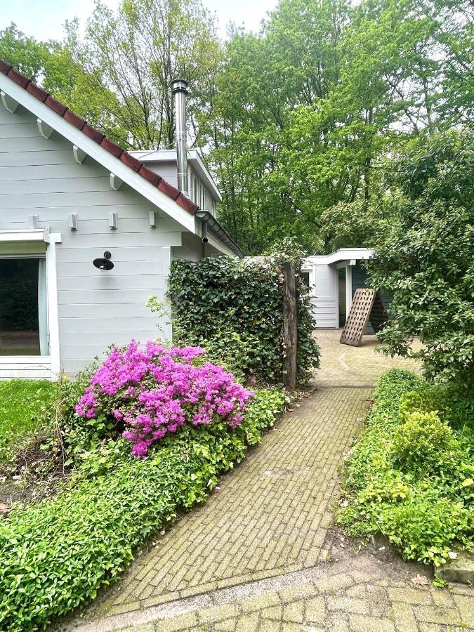 Kempenlodge, Luxe Boshuis Voor 8 Pers, In Brabantse *